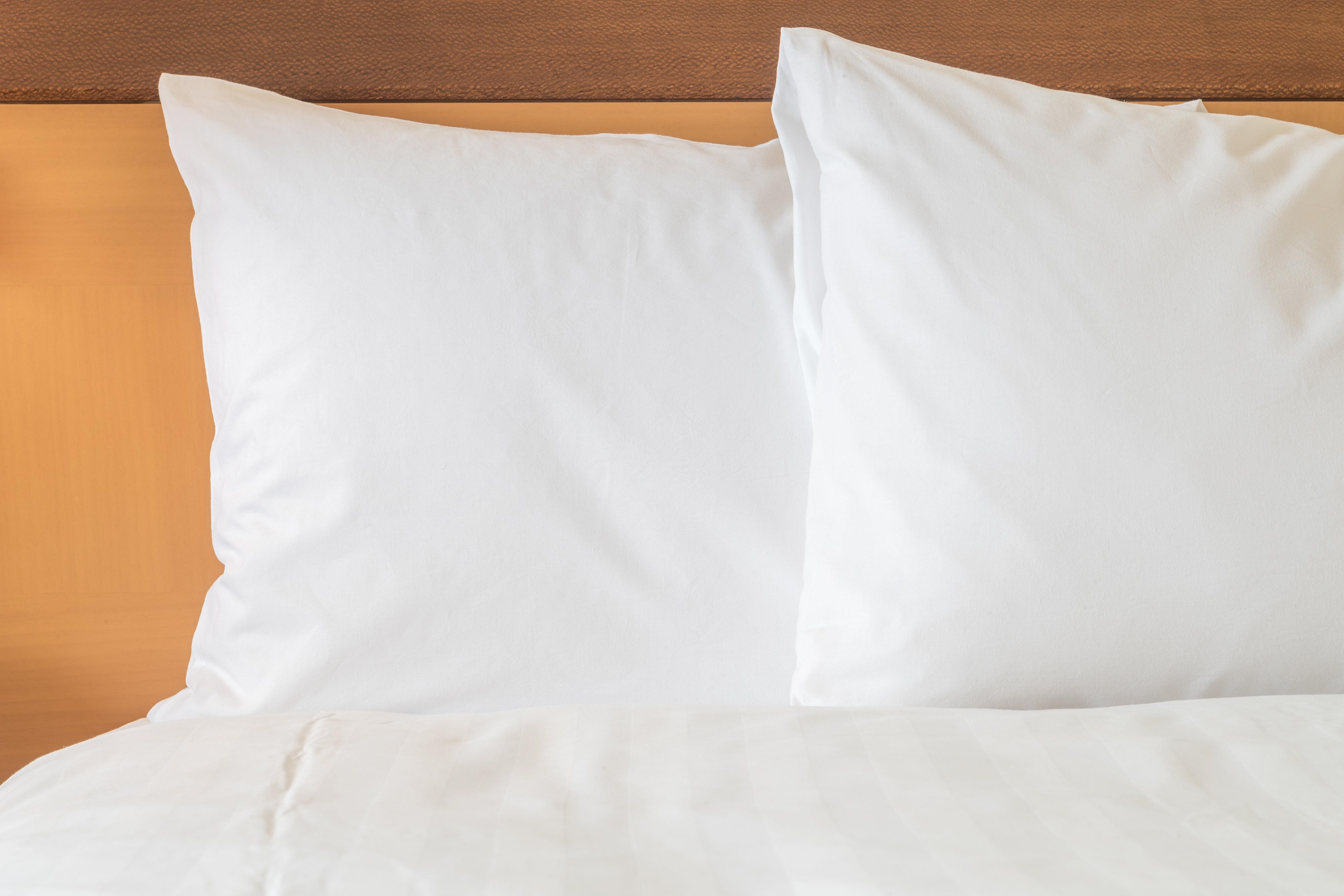 Holiday Inn Santo Domingo By Ihg Extérieur photo Two pillows on a bed